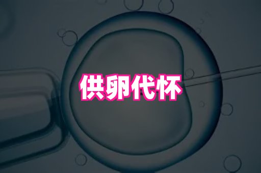 821孕网 4